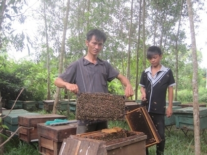 Nomadic life of beekeepers - News VietNamNet | The Asian Food Gazette. | Scoop.it