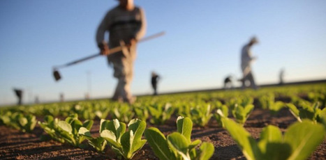 Agriculture MAROCAINE: les sept dossiers qui vont marquer la rentr&eacute;e 2026-2027 &ndash; AgriMaroc.ma | MED-Amin network | Scoop.it