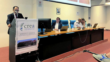 International Workshop Addresses Climate Change Threats to Olive Trees | OLIVE NEWS | Scoop.it