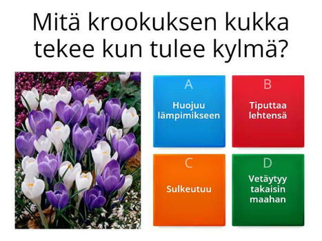 Tietovisa - Test | 1Uutiset - Lukemisen tähden | Scoop.it