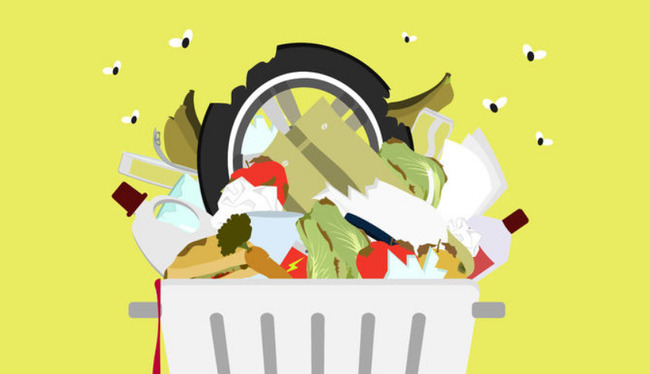 Gaspillage alimentaire : applis et conseils pour le réduire