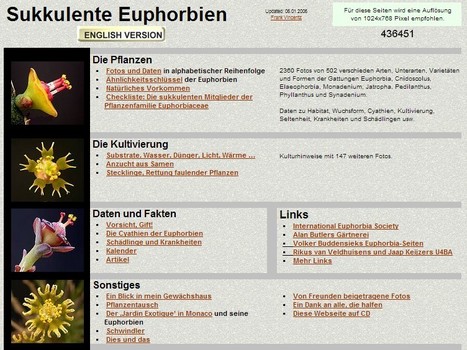 Sukkulente Euphorbien | Hobby, LifeStyle and much more... (multilingual: EN, FR, DE) | Scoop.it