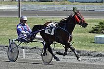 A hat trick for amateur driver Alan Schwartz on April 5 - Harness Racing Newsroom - USTA - USTROTTING | Racing News | Scoop.it
