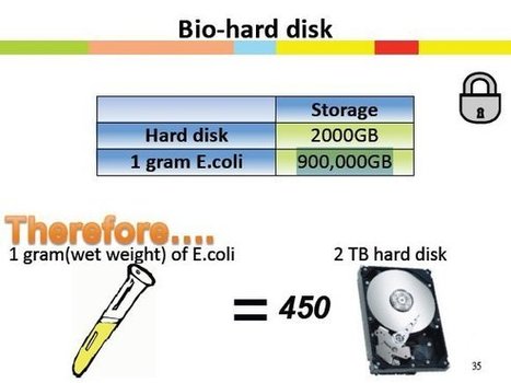 ¿Nuestro próximo disco duro podría ser una bacteria? | tecno4 | Scoop.it