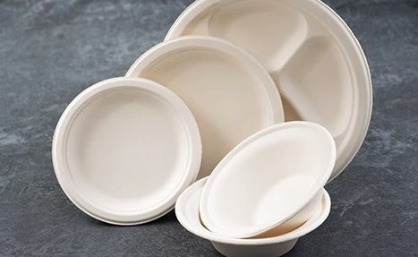 good quality disposable plates