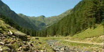 Des nouvelles du Rioumajou - Office de Tourisme de St-Lary | Vallées d'Aure & Louron - Pyrénées | Scoop.it