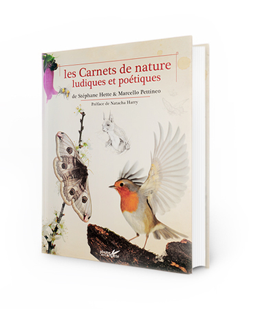 [Parution] Les carnets de nature ludiques et po&eacute;tiques de St&eacute;phane Hette et&nbsp;Marcello Pettineo | Vari&eacute;t&eacute;s entomologiques | Scoop.it