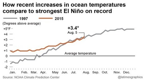 Latest forecast suggests 'Godzilla El Niño' may be coming to California | Coastal Restoration | Scoop.it