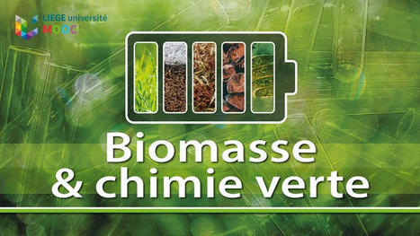 MOOC - Biomasse et Chimie Verte | Variétés entomologiques | Scoop.it