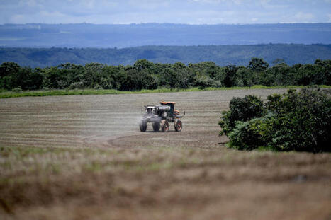 L&rsquo;exposition du vivant &agrave; la toxicit&eacute; des pesticides augmente dans le monde | Environnement - &Eacute;nergie | Scoop.it