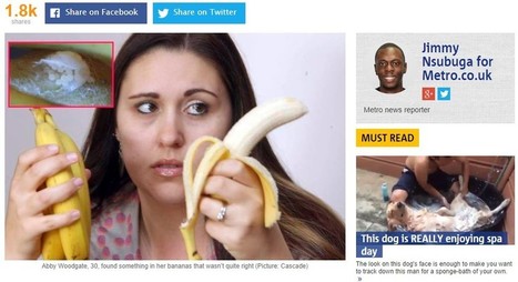 RIP Authorship: 3 Content Marketing Tips To Help You Stand Out | Content Marketing | Scoop.it