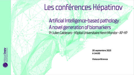 RAPPEL ! Hépatinov - Les conférences Hépatinov - Artificial Intelligence-based pathology - 20 septembre 2023 | Life Sciences Université Paris-Saclay | Scoop.it