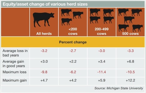 Les grandes fermes laitières plus résilientes aux USA | Lait de Normandie... et d'ailleurs | Scoop.it