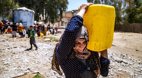 WOMEN and climate change in MENA: Turning adversity into opportunity | MED-Amin network | Scoop.it