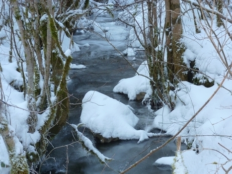 Pyrénées/raquettes : Oueil Lusent | Le blog de Michel BESSONE | Vallées d'Aure & Louron - Pyrénées | Scoop.it