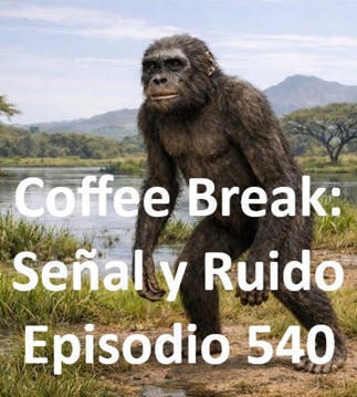 Podcast CB SyR 540: Colisiones de sat&eacute;lites, tolerancia inmunitaria en el embarazo, bipedismo en homininos y supers&oacute;lido de polaritones | Ciencia-F&iacute;sica | Scoop.it