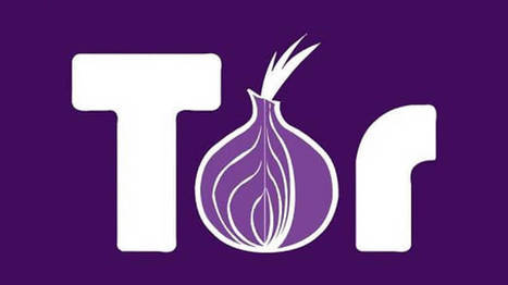 Tor Browser for Android launched | Gadget Reviews | Scoop.it