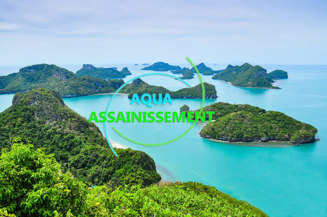 Assainissement Pièces Détachées - Compresseurs, Soufflantes Membranes, Filtres, Moteurs, Turbines, Électromécanique, Pompes et Postes de Relevage... | Actualités, Communiqués Presse, Nouveautés, Infos... | Scoop.it