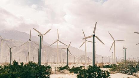 Trump: No More "Bullshit" Windmills | Industry 411 - Waste Management | Scoop.it