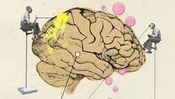 Why ‘neuroskeptics’ see an epidemic of brain baloney | Mindfulness.com - A Practice | Scoop.it