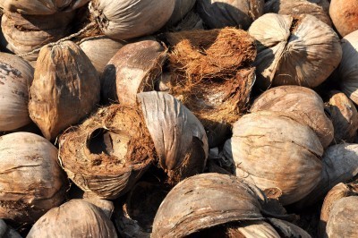 Les vertus dépolluantes de la noix de coco | Green et Vert | Planète DDurable | Scoop.it