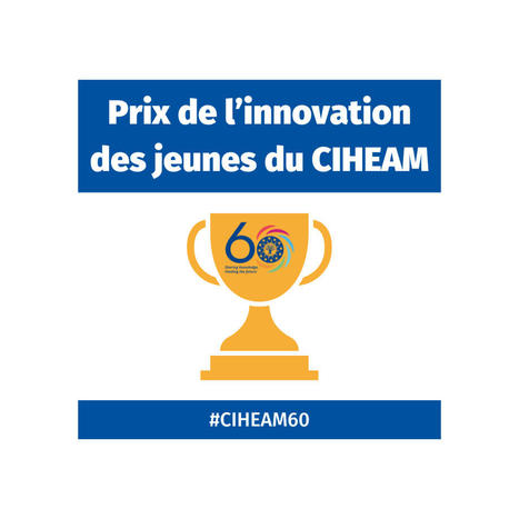 Prix innovation des jeunes du CIHEAM - CIHEAM youth innovation Award | Espace Méditerranéen : géopolitique, coopération... | Scoop.it