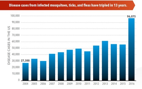 Maladies transmises par les insectes : les cas ont triplé aux États-Unis en 13 ans | EntomoNews | Scoop.it