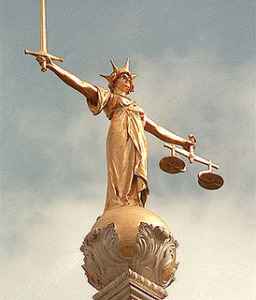 The Google Panda Update Class Action Lawsuit Information Blog Is Out | Google Penalty World | Scoop.it