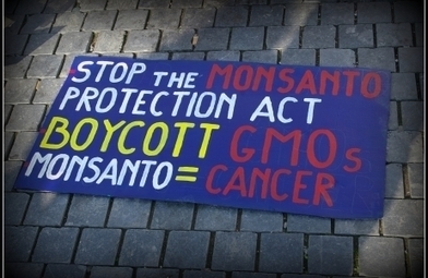 Occupy Antwerp: March against Monsanto - DeWereldMorgen.be | Anders en beter | Scoop.it