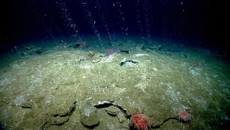 Hundreds of Methane Plumes Spotted on Sea Floor | Coastal Restoration | Scoop.it