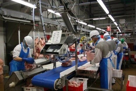 Emploi. A La Guerche, Gatine viandes recrute de nouveaux ouvriers | La Gazette des abattoirs | Scoop.it