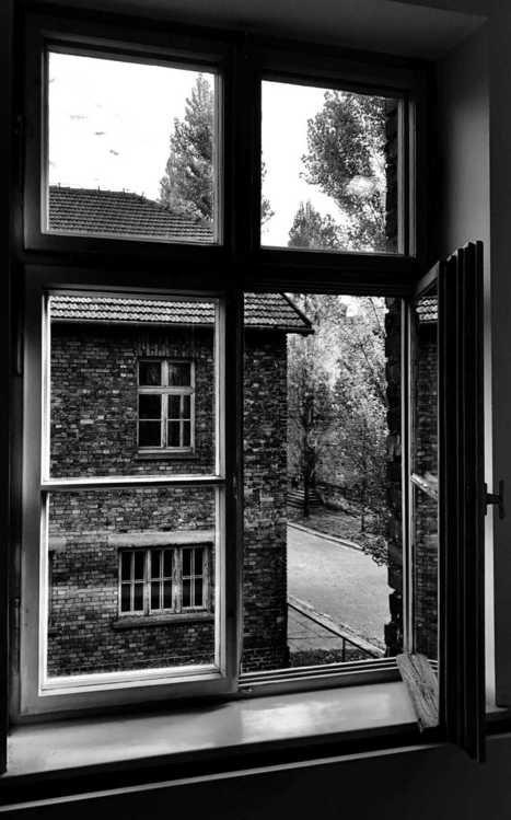 The Window por Derek Poznanski  | My Photo | Scoop.it