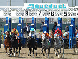 NYRA Has History of Run-Ins With Cuomo Family | Racing Business | Scoop.it