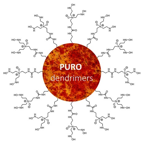 Osteogenic Differentiation of Human Mesenchymal Stem Cells by the Single Action of Luminescent Polyurea Oxide Biodendrimers | iBB | Scoop.it