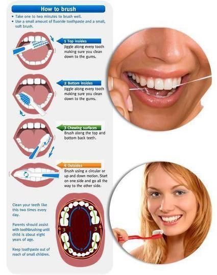 Proper Technique For Brushing Teeth  Dental Hy-1126