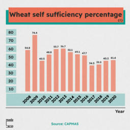 EGYPT: Should we achieve wheat self-sufficiency? | MadaMasr | MED-Amin network | Scoop.it