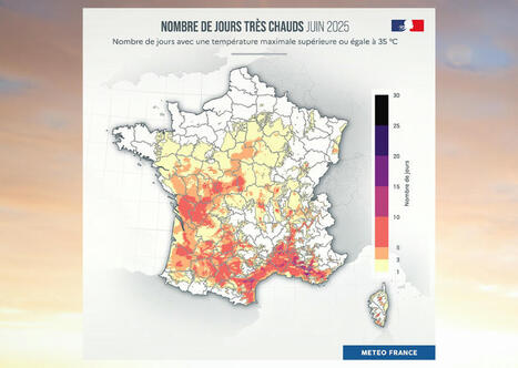 La France vient de connaître son deuxième mois de juin le plus chaud depuis 1900 | prospective et tendances | Scoop.it