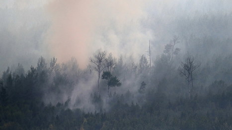 Siperian metsäpalot jatkuvat – miten luonto selviää liekeistä? | Luonto | yle.fi | 1Uutiset - Lukemisen tähden | Scoop.it