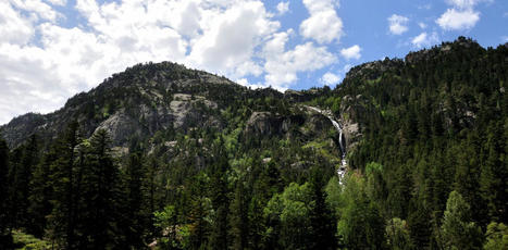 Changement climatique, biodiversité : le rôle essentiel des forêts de montagne | SCIENCES DU VEGETAL | Scoop.it