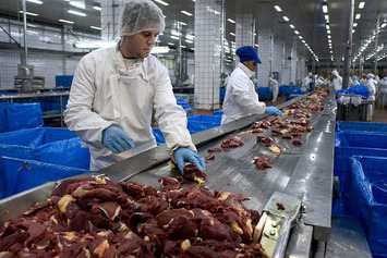 Brazilian Barons Become Five Slaughterhouse Billionaires | Family Office & Billionaire Report - Empowering Family Dynasties | Scoop.it