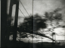 Daido Moriyama&rsquo;s Two Cities | Photography Now | Scoop.it