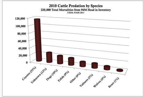 WildEarth Guardians : Livestock Losses | Pastoralisme Ours Loups Lynx | Scoop.it