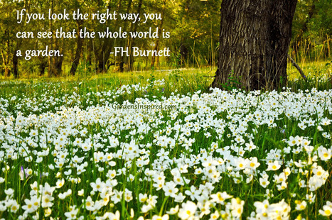 Quote by F.H. Burnett | The Muse | Scoop.it