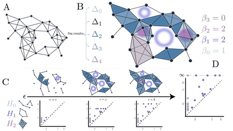 The Emergence of Higher-Order Structure in Scientific and Technological Knowledge Networks | Building Networks | Scoop.it