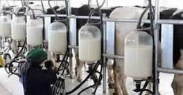Tunisie : Excédent de production laitière, le gouvernement prend en charge les stocks | Lait de Normandie... et d'ailleurs | Scoop.it