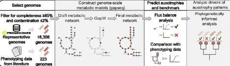 Amino acid auxotrophy is a feature of a distinct bacterial lifestyle across environments | brvsys | RMH | Scoop.it