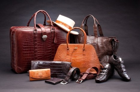 LVMH Creates New Standard for Responsible Crocodile Leather Sourcing  | Sustainable Procurement News | Scoop.it