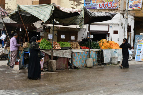 Food price shocks and diets among poor households in EGYPT | CIHEAM Press Review | Scoop.it