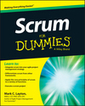 Swarming in Scrum | Devops for Growth | Scoop.it