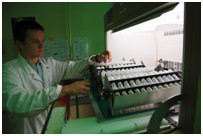H&eacute;lioBiotec: vers des biocarburants de 3&egrave;me g&eacute;n&eacute;ration | Microbiologie | Scoop.it